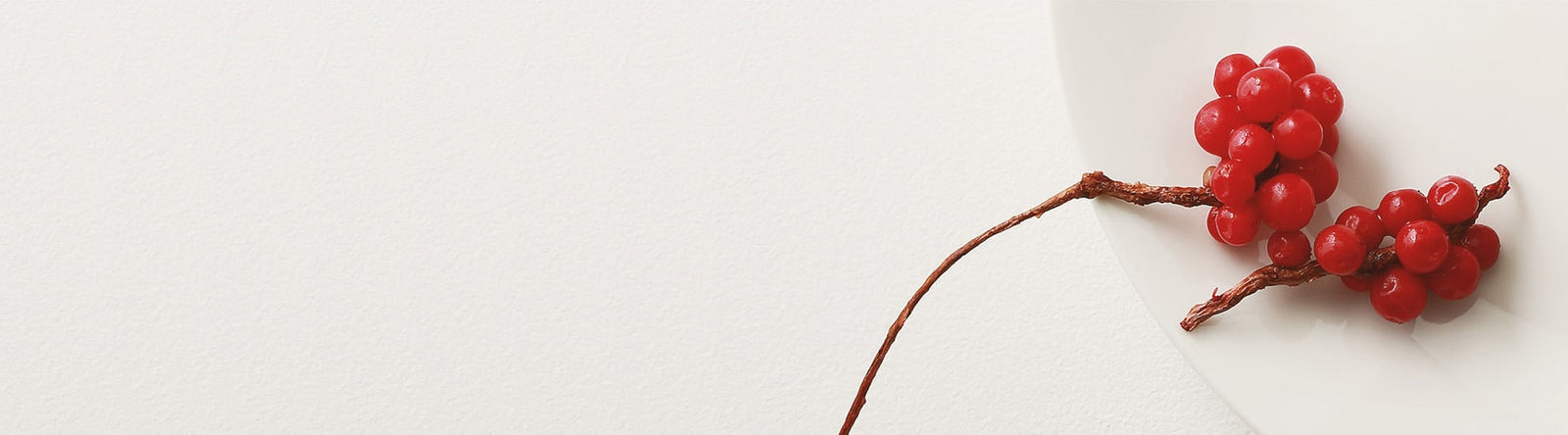 Grappes de fruits rouges Omija